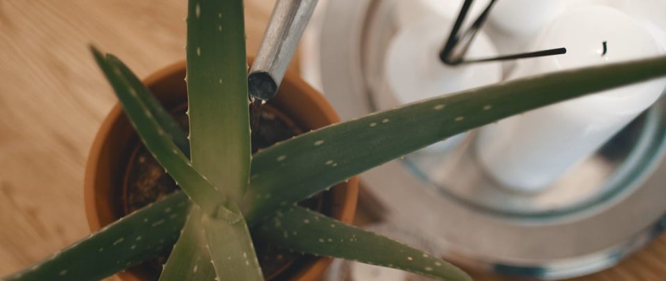 Brand 2018 — still from the film for Hejco