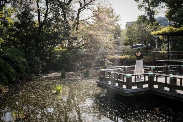 Japanese Garden — photography for Travel