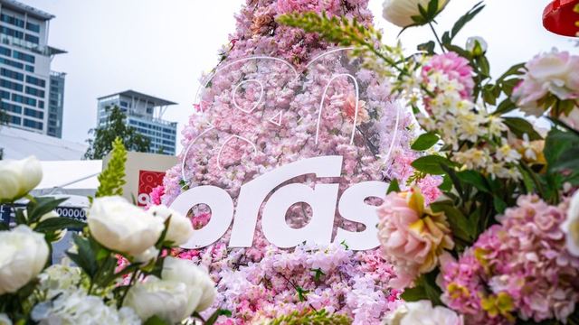 Flowers — photography for Oras
